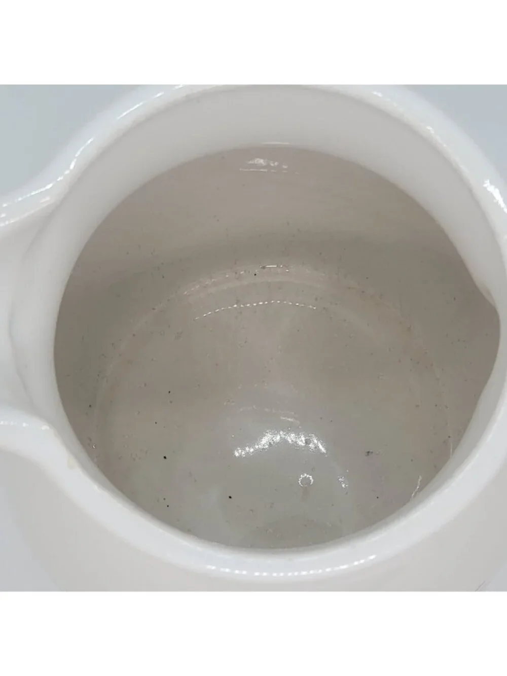 Rare Pottery Pitcher Water Jug hand made field landscape with two ducks Creme